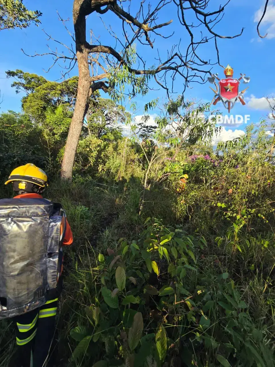 Bombeiros resgatam homem com dores após acidente em Brazlândia