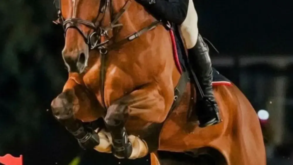 Candangão 2026: hipismo brasiliense se prepara para campeonato