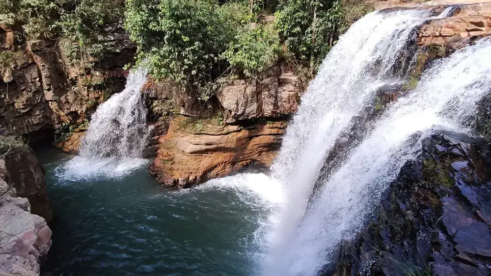 Flona Brasília celebra 27 anos com trilhas e atividades ao ar livre