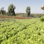 IPP tem alta de 2,37% em março, afirma IBGE