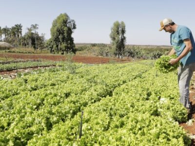 IPP tem alta de 2,37% em março, afirma IBGE