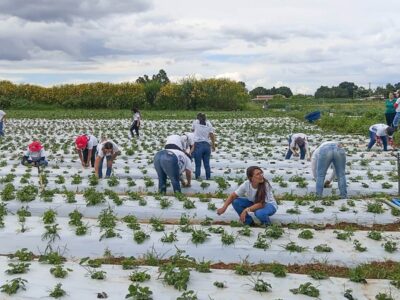 Brazlândia certifica 100 mulheres em programa rural do GDF